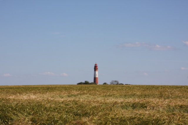 2008_Fehmarn_02